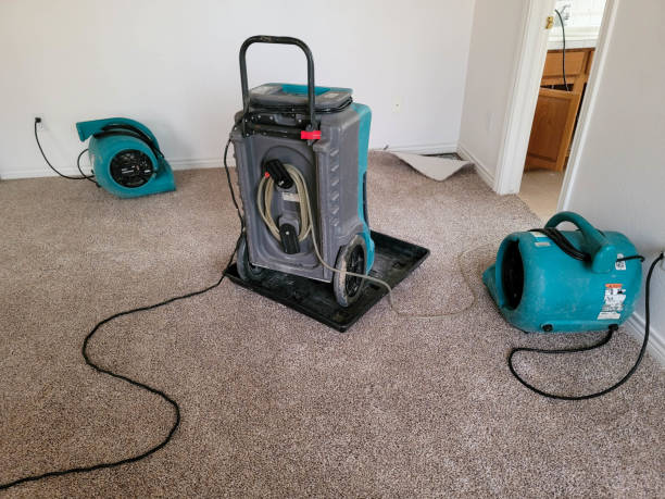 Best Water damage restoration specialists  in Clinton, WI