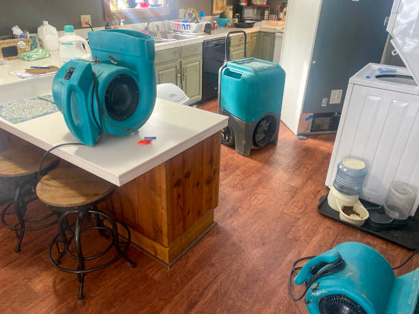 Best Ceiling water damage repair  in Clinton, WI