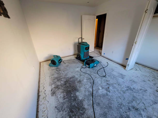 Best Local water damage restoration  in Clinton, WI