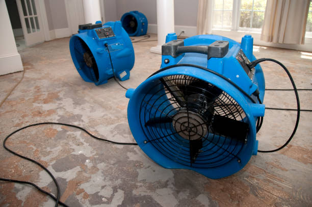 Best 24/7 water damage repair  in Clinton, WI