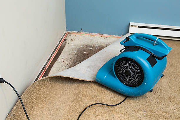 Best Water damage restoration cost  in Clinton, WI